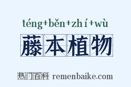 藤本植物是什么意思的图片